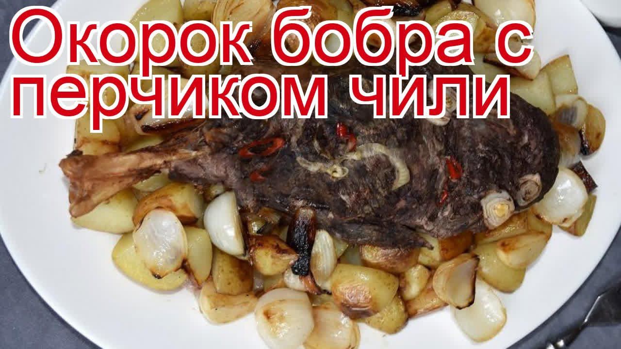 Рецепты из бобра - как приготовить бобра пошаговый рецепт - Окорок бобра с перчиком чили смотреть онлайн