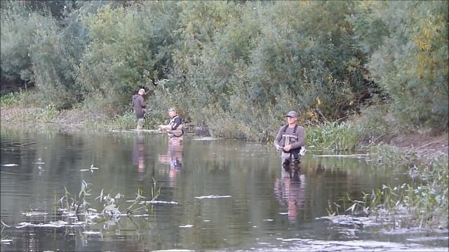 Щука за глаза смотреть онлайн