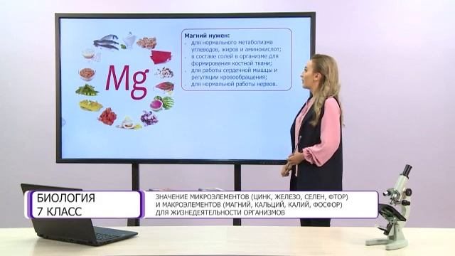 Биология. 7 класс. Значение микроэлементов и макроэлементов для жизнедеятельности организмов смотреть онлайн