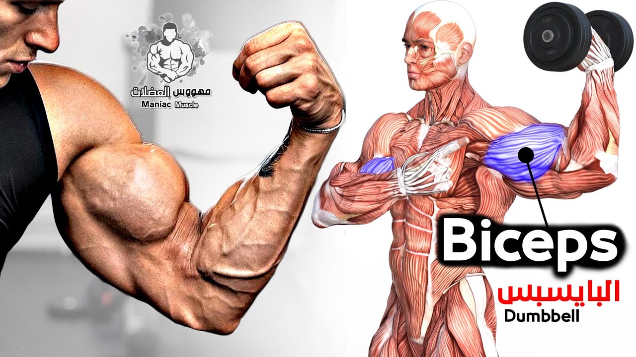 КАК БЫСТРО НАКАЧАТЬ БИЦЕПС ? (ТОЛЬКО С ГАНТЕЛЯМИ) смотреть онлайн