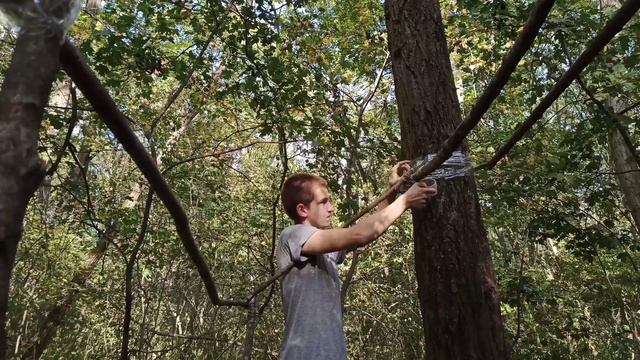 Как построить дом в лесу? Строю домик из стрейч-пленки! #1 часть! смотреть онлайн