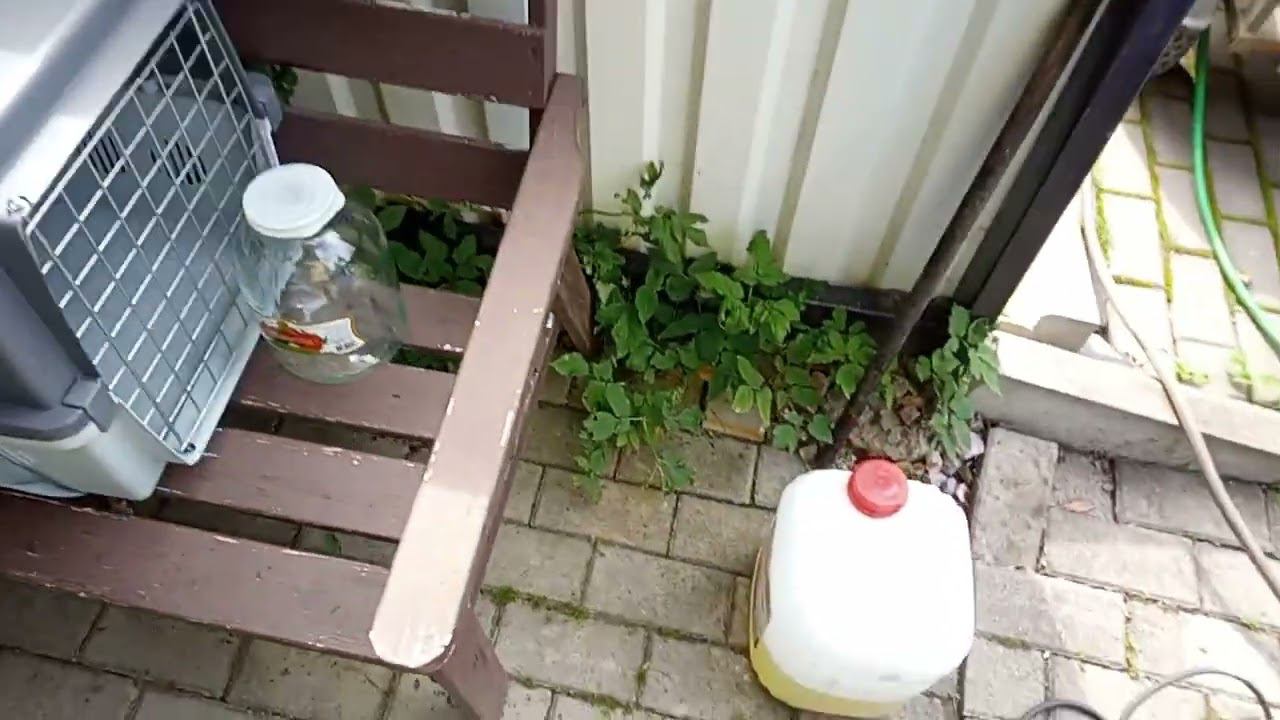 ITOZOR-SERVIS  Ролик-3 Моем СО в Лемболово