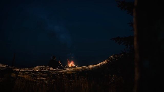 DZ - Наши дни