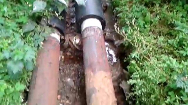 Заросли выше человеческого роста вдоль теплосети от котельной Воронцы смотреть онлайн