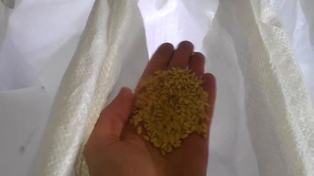 Очистка риса от камней смотреть онлайн