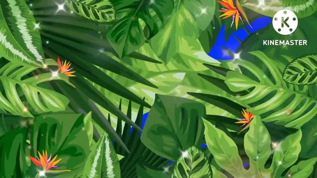 фон для монтажа, хромокей, зеленый экран, листья, смотреть онлайн