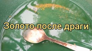 Золото после драги
