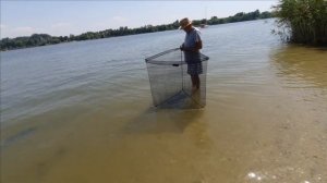 Каплица. Открытие сезона на сазана на Дону. Пьяная кукуруза - работает. Секретный ингредиент от Ва.