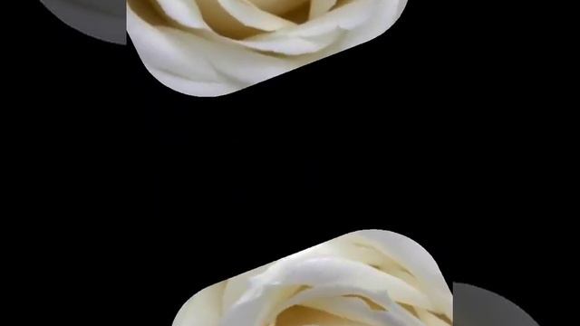 "ЖЕНСКОЕ СЧАСТЬЕ" Автор стихотворения Светлана Башинская смотреть онлайн