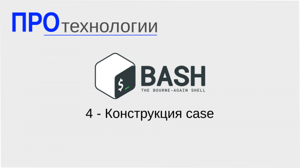 4 Bash - Конструкция case