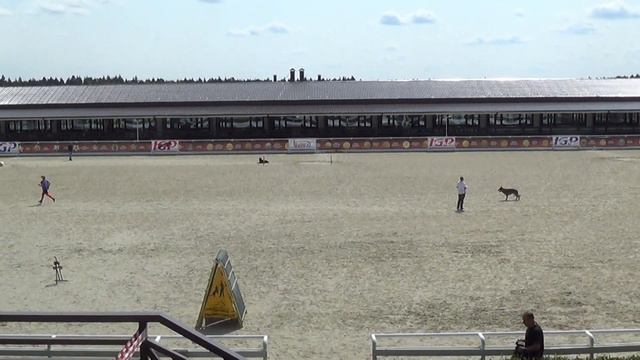 Ольга и Карбон смотреть онлайн