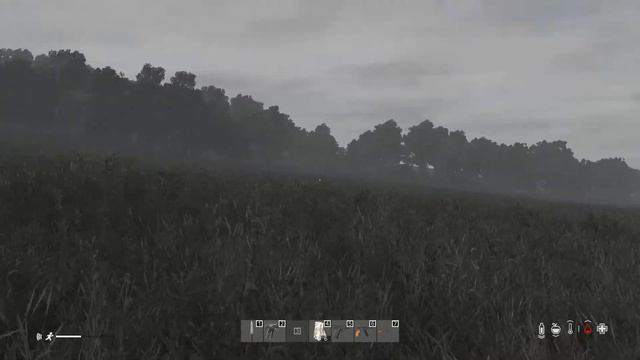 DAYZ▶ИЩУ КРУПНЫЙ ГОРОД▶ЧАСТЬ 3 смотреть онлайн