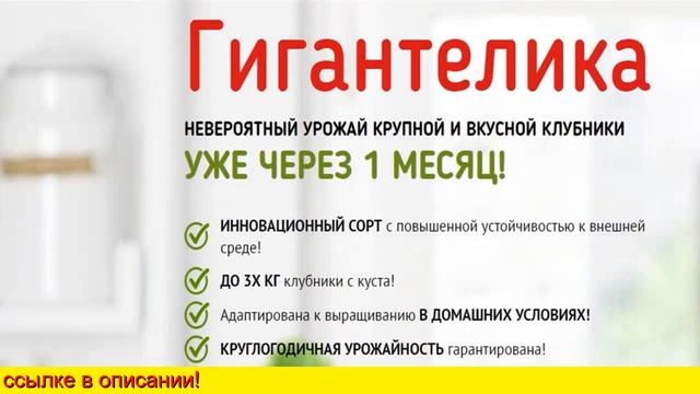 Гигантелика урожай крупной и вкусной клубники смотреть онлайн