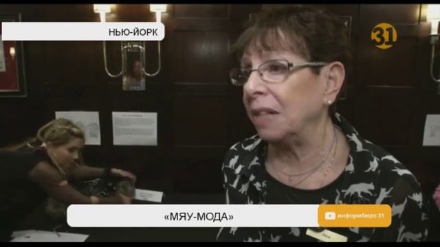 В Нью-Йорке прошел показ мод для кошек смотреть онлайн