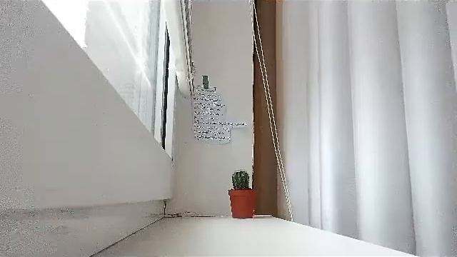 КАКТУС БОРЯ?!??//КАК УХАЖИВАТЬ ЗА КАКТУСАМИ+ смотреть онлайн