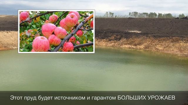Строительство каскада прудов в агропарке «Долина мечты» смотреть онлайн