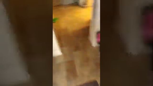 Замена Сплит-Системы Tosot