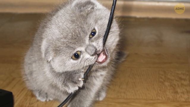 Секреты создания свадебного макияжа