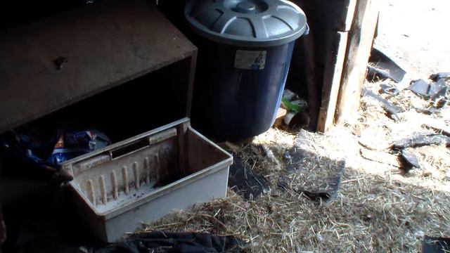Мыши у Луизы в сарае смотреть онлайн