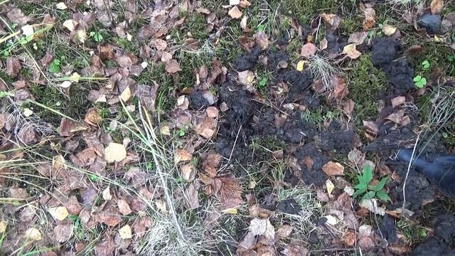 3 ДНЯ В ПОИСКАХ САМОРОДКОВ, НА РТУТНОМ РУЧЬЕ! смотреть онлайн