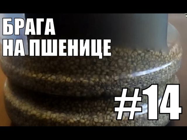 Брага на пшенице.Самогонный аппарат своими руками. Самогон. Брага на пшенице.Фильм №14 смотреть онлайн