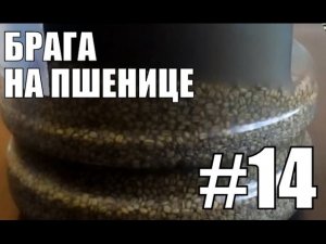 Брага на пшенице.Самогонный аппарат своими руками. Самогон. Брага на пшенице.Фильм №14