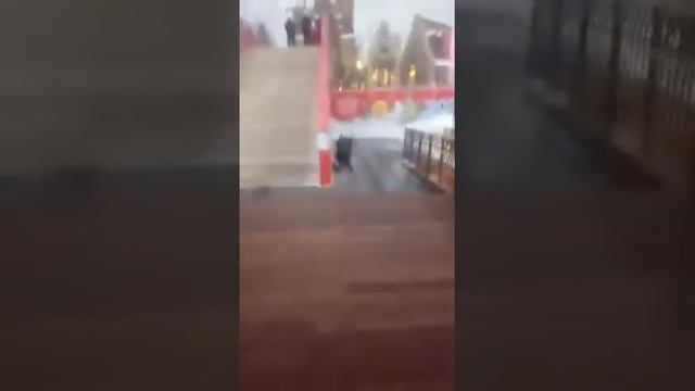 Московские новогодние ярмарки смотреть онлайн