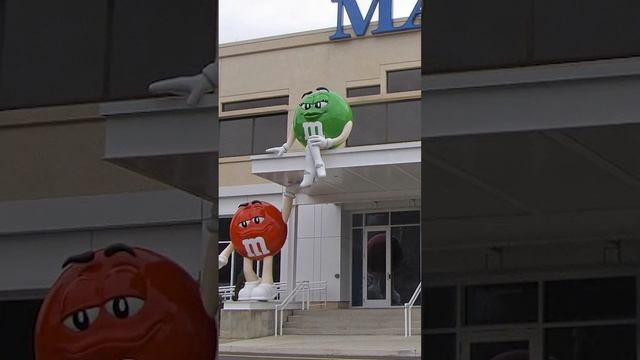 Интересный Факт Пчелы делают Мёд из Эмэндэмса #shorts смотреть онлайн