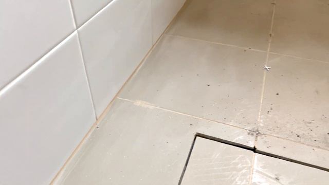 Чем отделать котельную? Покраска или плитка?!)) смотреть онлайн