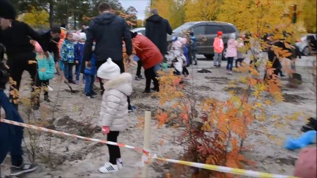 Фрагмент социальной акции 