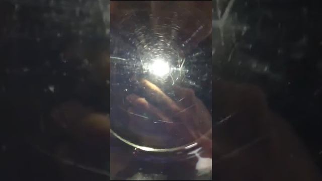 AEG Lavamat Turbo Protex Washer/Dryer смотреть онлайн