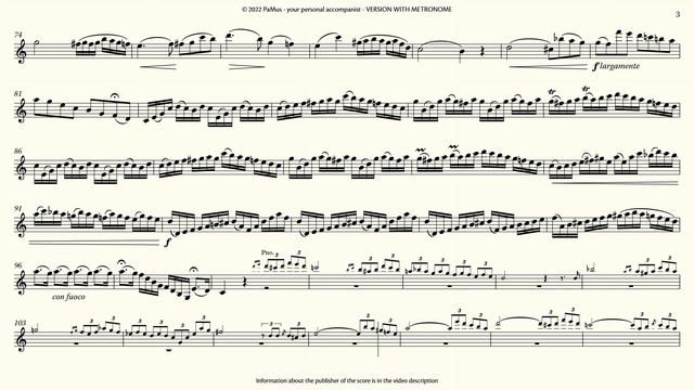 Jean Baptiste Accolay: Violin Concerto No. 1 piano accompaniment 442Hz смотреть онлайн