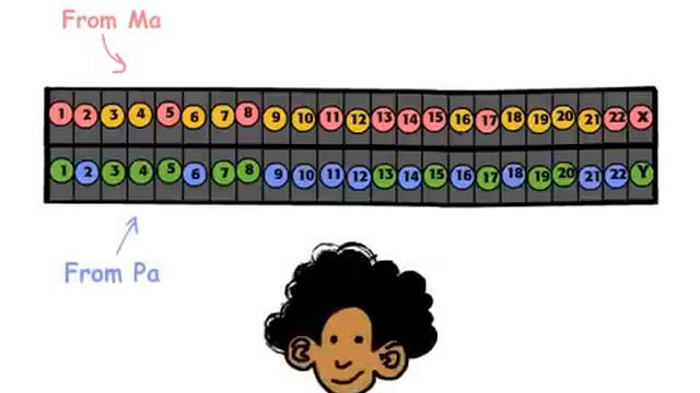 Genetics 101 (Part 3 of 5): Where do your genes come from? смотреть онлайн