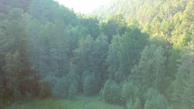 2019 08 Bolshoe Goloystnoe2 смотреть онлайн