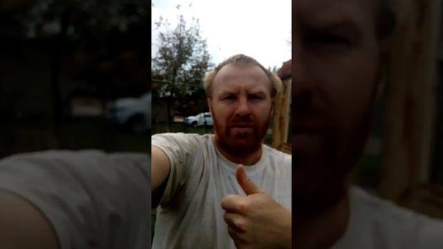 на даче растет ежевика цветет 24 10 2018 смотреть онлайн