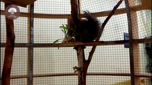 Завтрак чемпиона смотреть онлайн