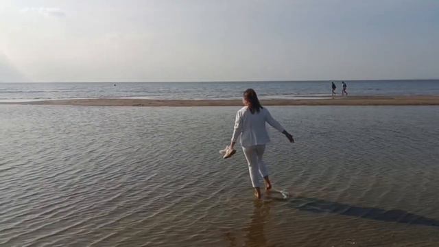 Старт строительства ЖК у Лисьего Носа Санкт-Петербург смотреть онлайн