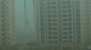 5 ТРЕНОЖНИКОВ СНЯТЫХ НА КАМЕРУ - Lion Channel