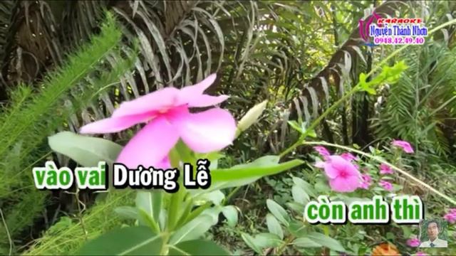 lưu đức hoà.. tân cổ.. khúc tình quê... tg... lý bong dừa.. смотреть онлайн