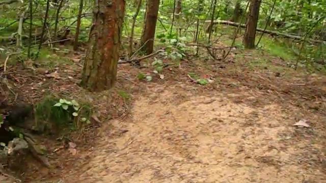 Ягдтерьер. Охота на норку. Часть 3. смотреть онлайн