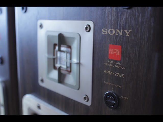 Sony APM-22ES смотреть онлайн