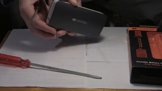 Разбираем Power Bank Canyon 13000mAh CNE-CPB130DG
