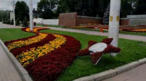 Клумба какого города самая красивая | Городские цветы