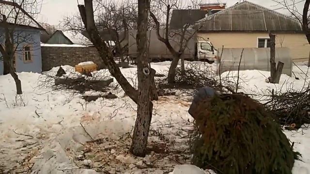 Обрезка старой запущеной яблони смотреть онлайн