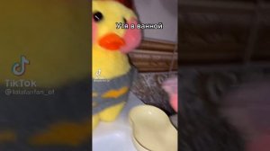 ?– уточки из тт–?