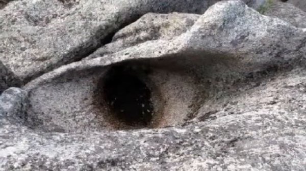 ВИРТУАЛЬНАЯ ЭКСКУРСИЯ pptx