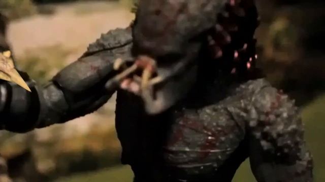 The Alpha Predator Stop Motion (Battle to become the Alpha) смотреть онлайн