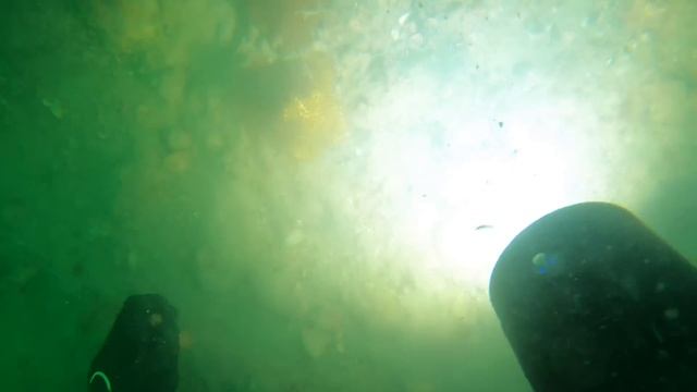 Scuba Diving for $1,000,000 Dollar Shark Tooth! (Will We Find the Record Breaking Tooth?) смотреть онлайн