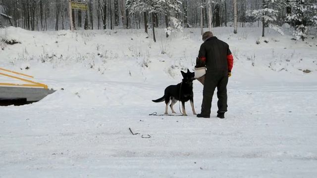 Добрыня ЗКС 1 смотреть онлайн