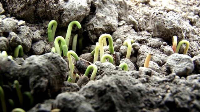 Национальный проект «Экология» смотреть онлайн